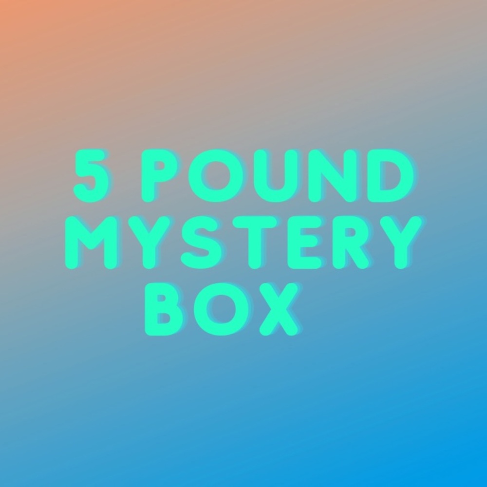 5 pound women's mystery box